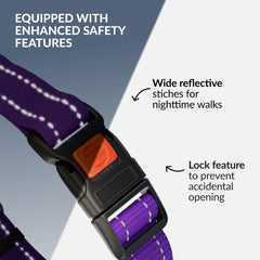 CollarDirect Martingale para uso diario y entrenamiento, cómodo y seguro.