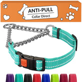 CollarDirect martingale mint-green buckle provides secure control during daily walks