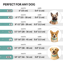 CollarDirect mint green textured collar adds stylish color to daily walks.