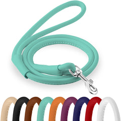 CollarDirect rolled leather leash 4ft in black for reliable daily walks and training control.