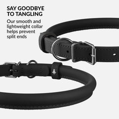 CollarDirect rolled leather collar buckle detail highlights secure closure.