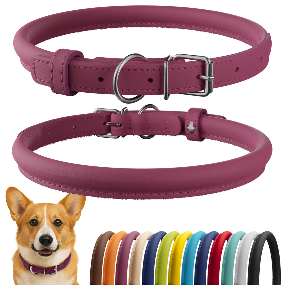 CollarDirect rolled leather collar close-up highlighting soft leather for long-haired dogs