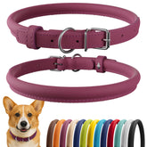 CollarDirect rolled leather collar close-up highlighting soft leather for long-haired dogs