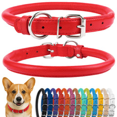 CollarDirect rolled-leather-collar closeup shows soft leather and durable stitching.