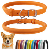 CollarDirect rolled leather collar orange smooth close-up showing soft padding.