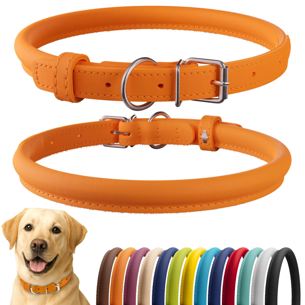 CollarDirect rolled-leather-collar orange smooth for daily comfortable wear