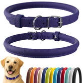 CollarDirect rolled leather collar in purple smooth finish for long-haired dogs.
