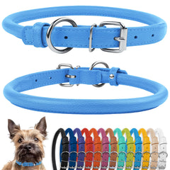 CollarDirect rolled-leather-collar closeup shows soft padding for gentle everyday wear.