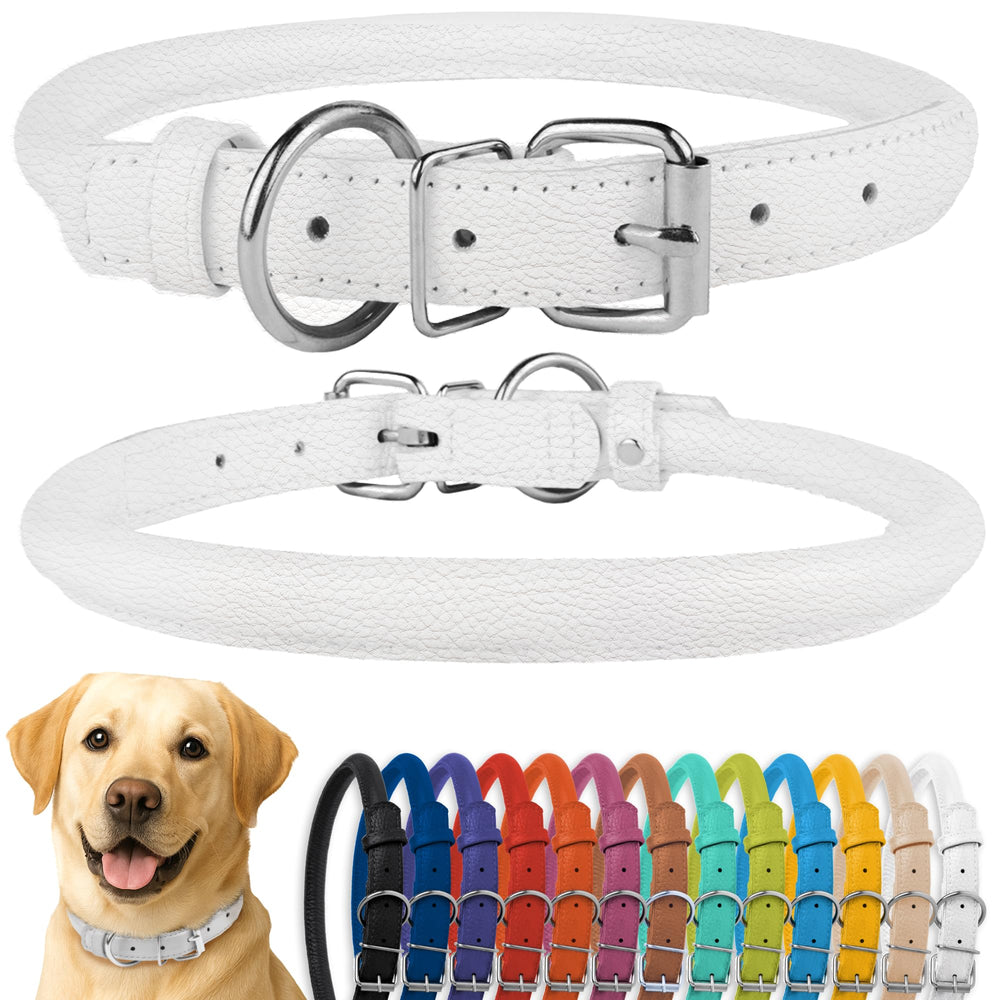 CollarDirect rolled leather collar texture close-up highlighting supple grain and everyday comfort.
