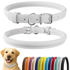 CollarDirect rolled leather collar in white smooth finish offers lightweight everyday wear.