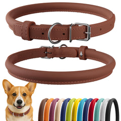 CollarDirect rolled leather dog collar close-up highlighting soft padding for long-haired breeds