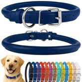 CollarDirect rolled leather dog collar in deep blue textured finish for daily comfort