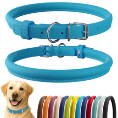 CollarDirect rolled leather dog collar in light blue on a dog for comfortable daily wear