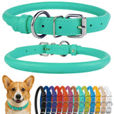 CollarDirect rolled leather collar in mint green textured finish eases grooming.