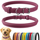 CollarDirect rolled leather dog collar pink smooth for comfortable everyday wear.