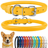 CollarDirect rolled leather dog collar in pink textured finish, soft padding for daily wear.