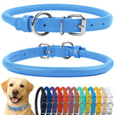 CollarDirect rolled leather dog collar, light blue textured finish, soft on long hair