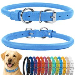 CollarDirect rolled leather dog collar, light blue textured finish, soft on long hair