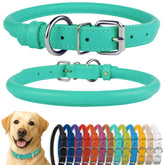 CollarDirect rolled leather dog collar with soft padding for comfortable daily wear.