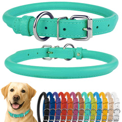 CollarDirect rolled leather dog collar with soft padding for comfortable daily wear.