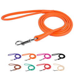 CollarDirect rolled leather leash 4ft black for durable daily walks.