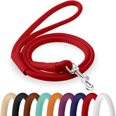 CollarDirect rolled leather dog leash 4ft with padded handle for comfortable training