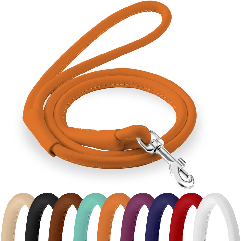 CollarDirect rolled leather dog leash 6ft black for durable everyday training and style.