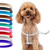 CollarDirect rolled leather harness in pink offers soft comfort for small dogs during daily walks