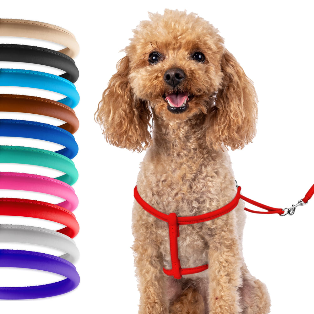 CollarDirect rolled leather harness for small puppy in pink with soft, comfortable walks.