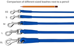 CollarDirect rolled-leather-leash-6ft-blue provides comfortable padding for longer walks.