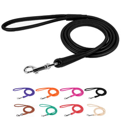 CollarDirect rolled leather leash closeup hardware showing durable shine for daily walks
