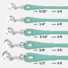 CollarDirect rolled leather leash detail shows premium hardware and smooth leather for everyday durability.