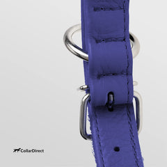 CollarDirect small-dog rolled leather collar fits necks around 12-15 inches securely
