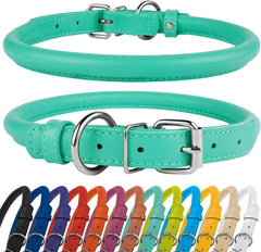 CollarDirect soft-padded collar on a dog highlighting gentle feel for sensitive skin
