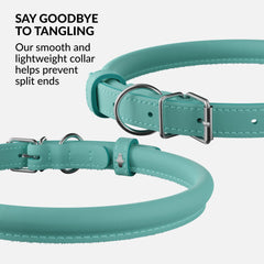 CollarDirect soft-padded leather collar closeup highlights comfortable support for everyday walks.