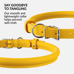 CollarDirect soft-padded leather collar side view highlights lightweight daily comfort
