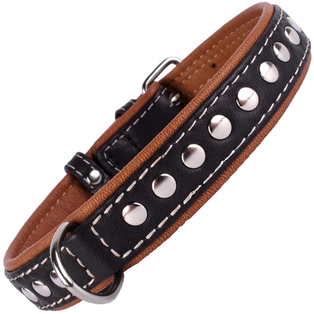 CollarDirect studded leather dog collar in black closeup with durable hardware.