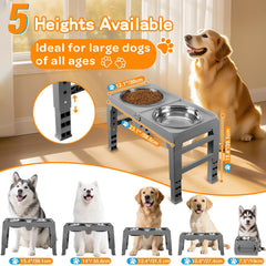 COMESOON two-10-inch-stainless-steel-bowls support ample portions for large dogs.