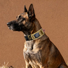 Comfluxe dog collar quick-release metal buckle for secure fit