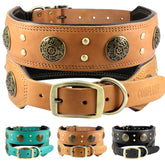 Comfluxe leather dog collar padded for comfortable daily wear on large breeds.