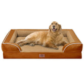 Comfort Expression orthopedic dog bed outer view with orange cover showing sturdy base for XL dogs
