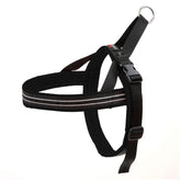 ComfortFlex Sport Harness shows no-choke design for comfortable neck protection during walks.
