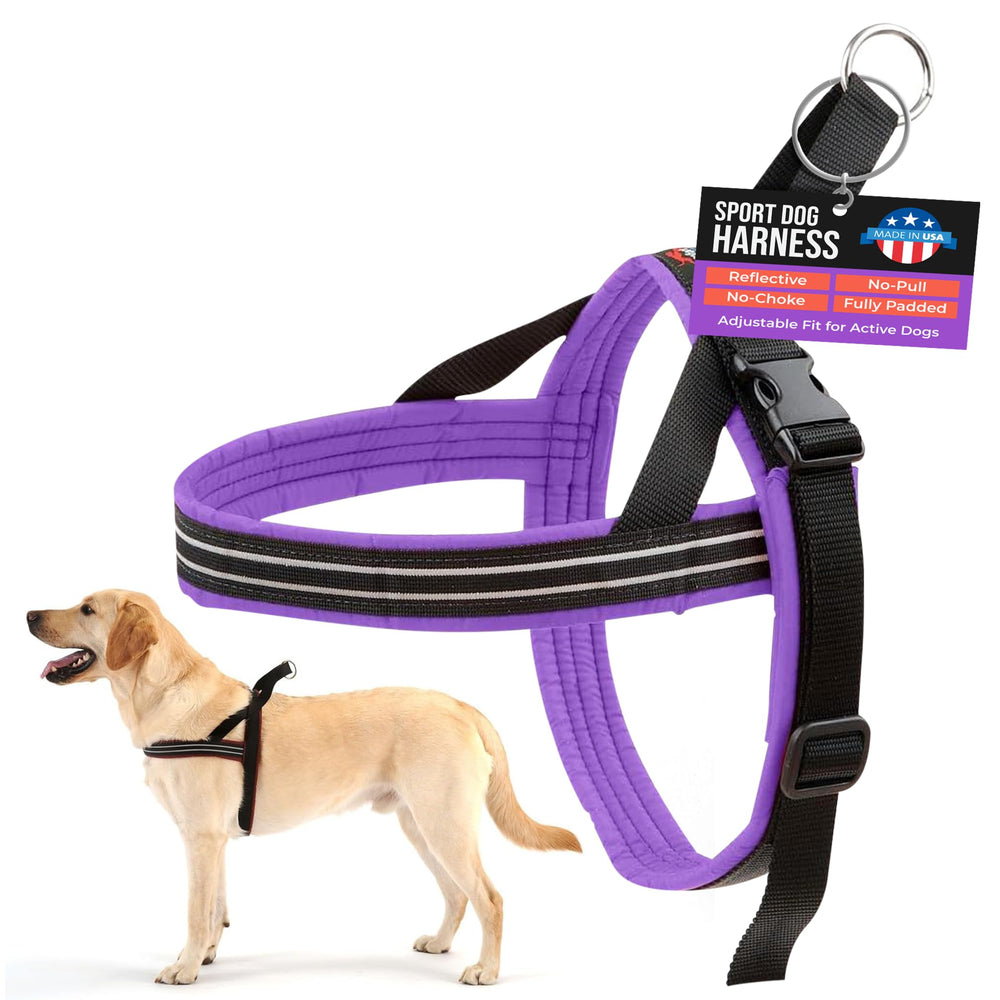 ComfortFlex Sport harness on a dog during a walk showing secure fit and everyday comfort