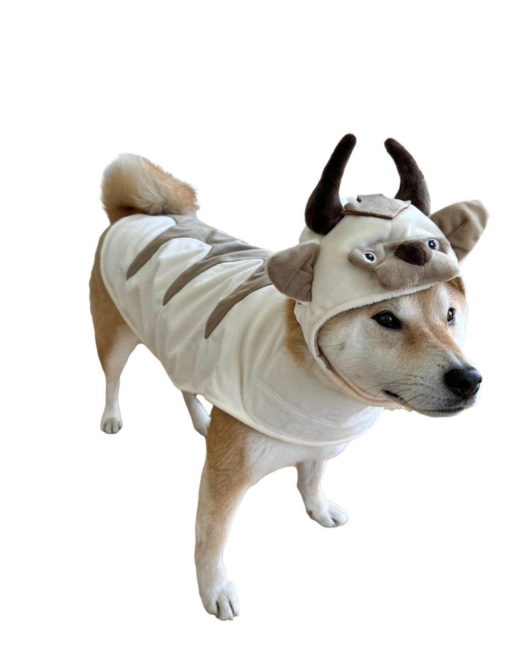 ComfyCamper Oxen Dog Costume hat and cape for festive Halloween photos