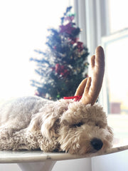 ComfyCamper Reindeer Antler Headband soft lace detail for comfortable wear.