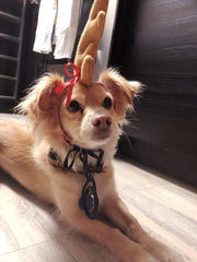 ComfyCamper Reindeer Antler Headband with velcro strap adjustable for versatile fits.