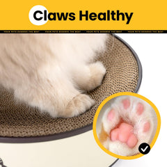 Conlun Oval Cat Scratcher Bed teal lounge demonstrates versatile color option for décor.