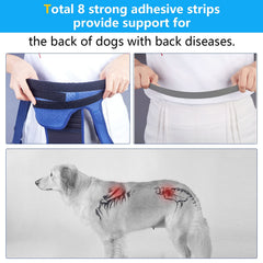 Coodeo dog back brace provides relief during light exercise with breathable straps