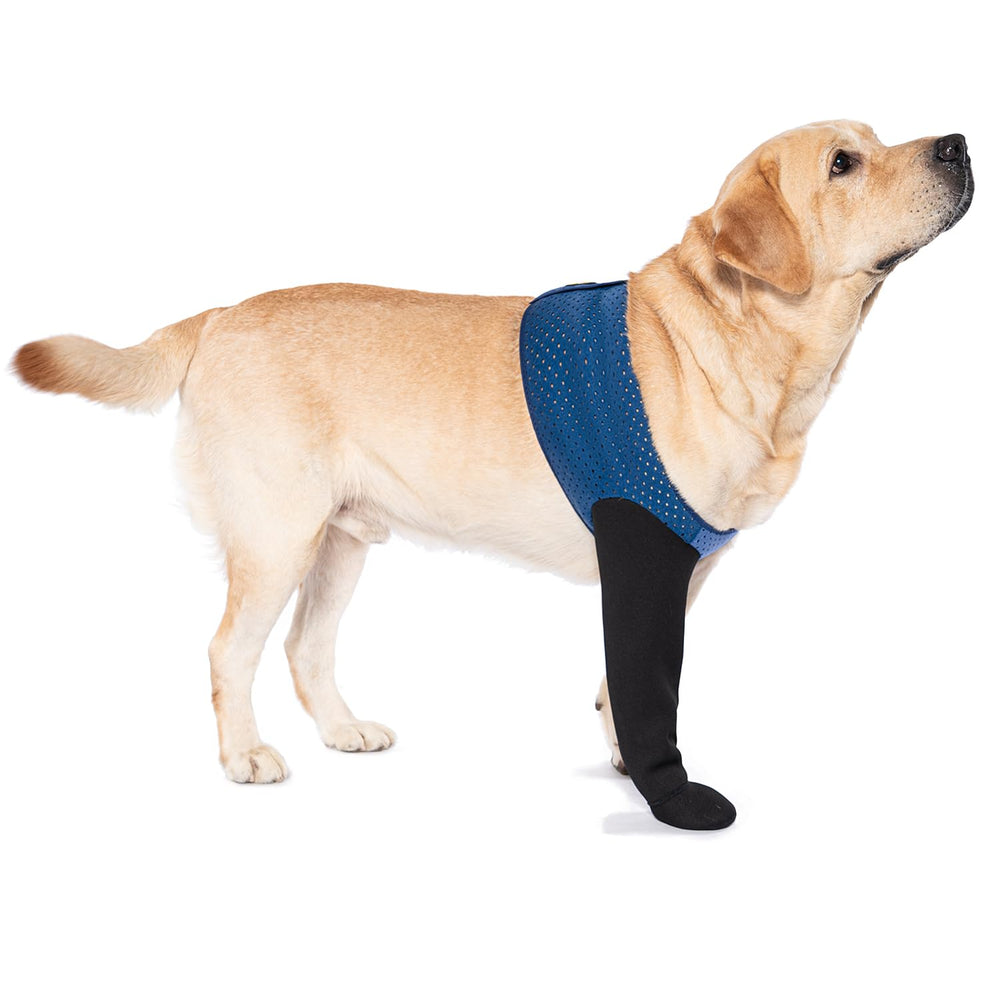 COODEO dog socks guarding licking-paws with comfortable, snug protection for anxious pets.