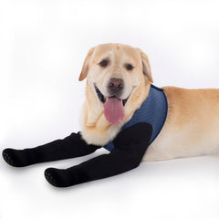 COODEO dog socks on paw reduce licking while keeping paws comfortable.